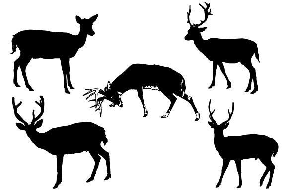 Download Deer Graphic Design SVG - Deer graphic Collection