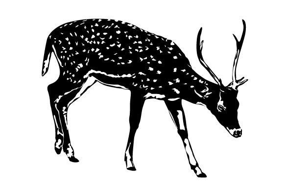 Download Deer Graphic - Deer graphic Collection