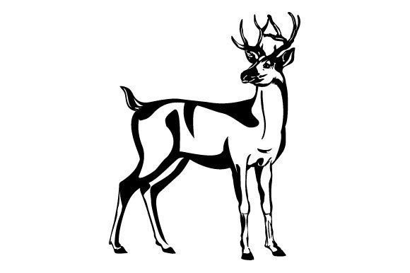 Download Deer Graphic SVG Design - Deer graphic Collection